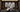 IF-8130 Chair Recliner (Power)